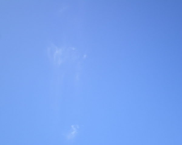 e0017051_17422462.jpg
