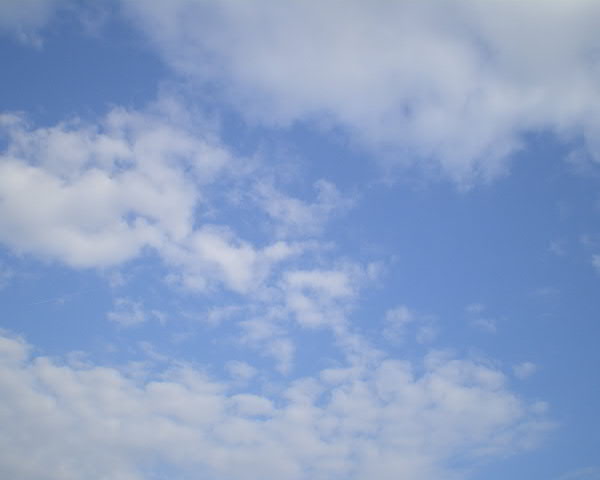 e0017051_1742971.jpg