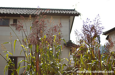 c0145453_2331059.jpg