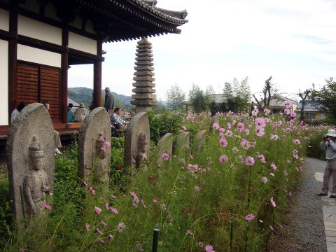 e0083155_17155174.jpg