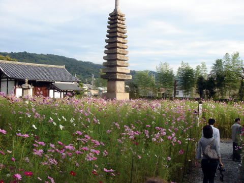 e0083155_1716785.jpg