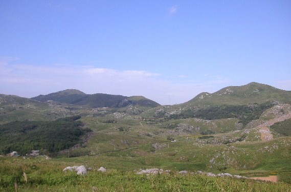 f0082855_17283221.jpg