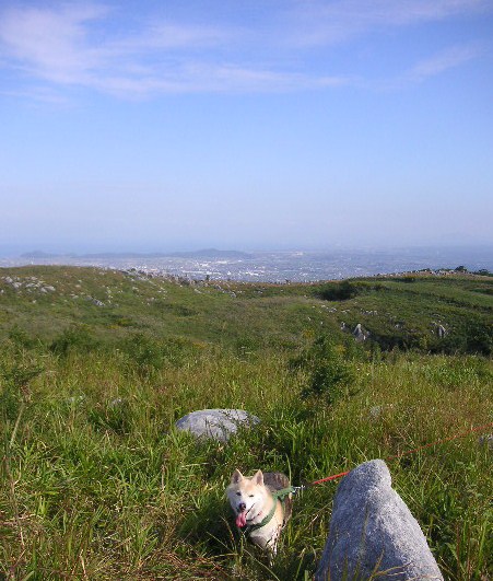 f0082855_17511572.jpg