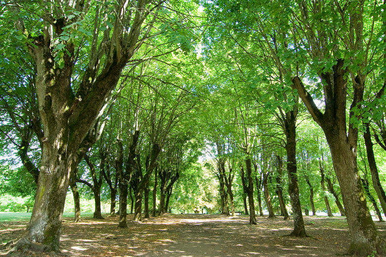 d0002958_9534136.jpg
