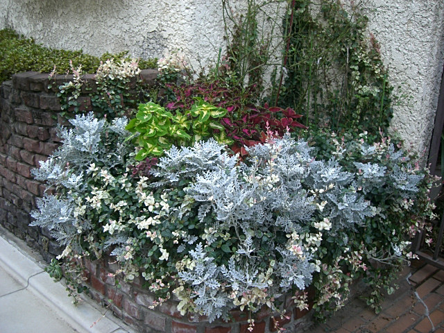 f0176458_1148184.jpg