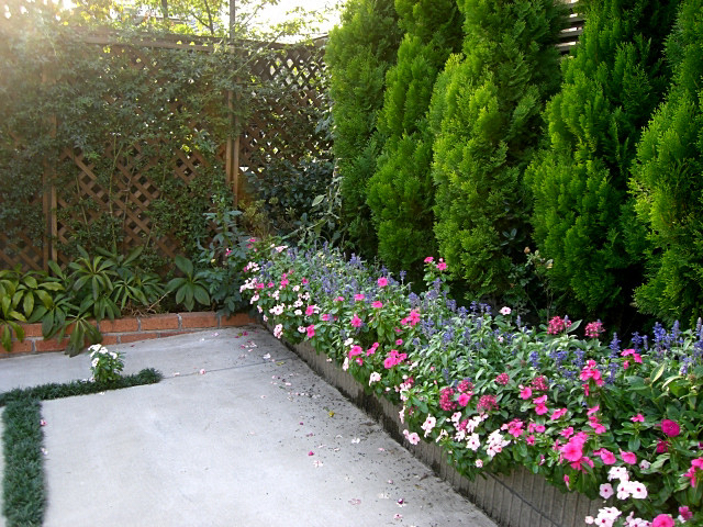 f0176458_1151189.jpg