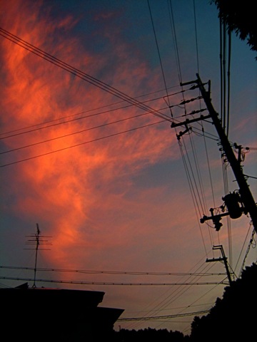 a0073360_156065.jpg