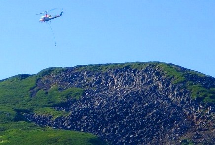 c0119160_843202.jpg