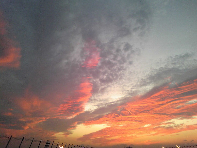 e0054064_19313535.jpg