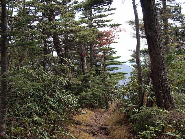 d0025568_1845176.jpg