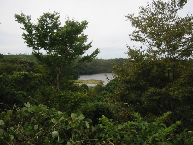 d0094868_17344349.jpg
