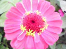 b0134673_21482994.jpg