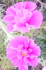 b0134673_21511989.jpg