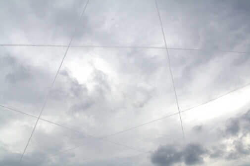 c0073377_6533286.jpg