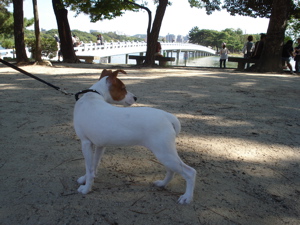 c0170778_22135119.jpg
