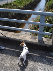 c0170778_2255314.jpg