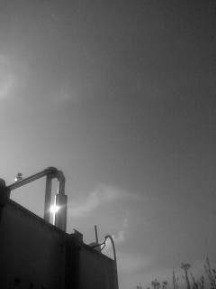 f0100480_18281328.jpg