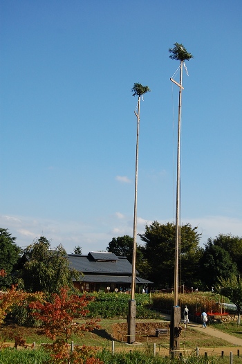 b0143983_1634445.jpg