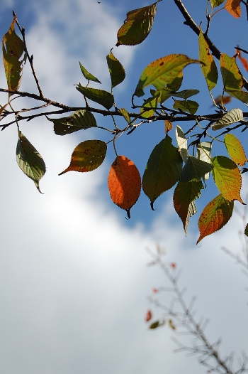 b0143983_16345189.jpg