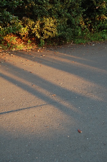 b0143983_1636228.jpg