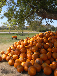 c0130986_2352010.jpg