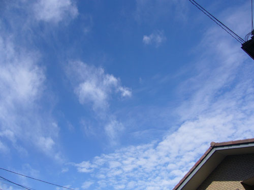 c0085188_19364984.jpg