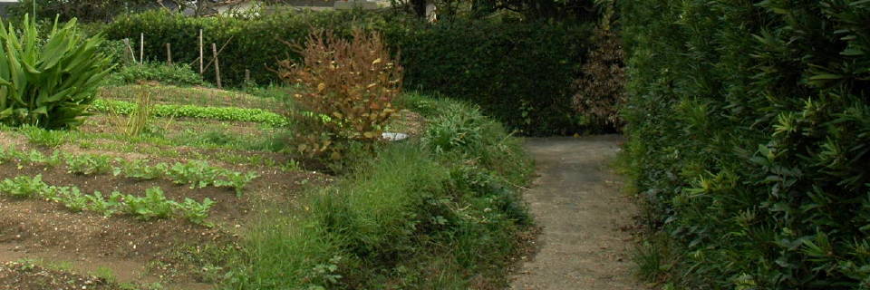 c0170789_23204558.jpg