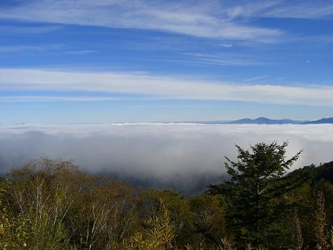 f0068291_22495125.jpg