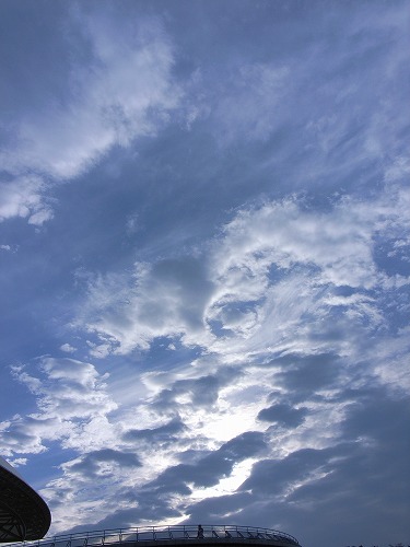 b0119493_22441742.jpg