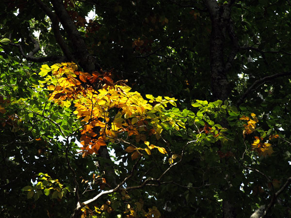b0075797_14572233.jpg