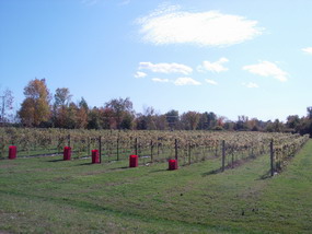 d0103098_013304.jpg