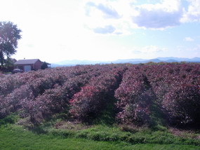 d0103098_0241514.jpg