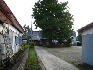 d0121300_002077.jpg
