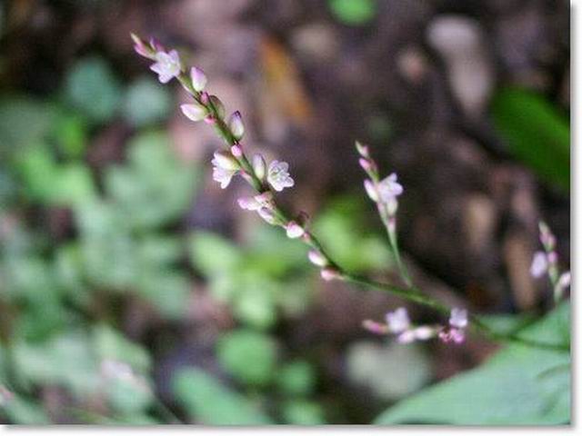 e0025300_1623539.jpg