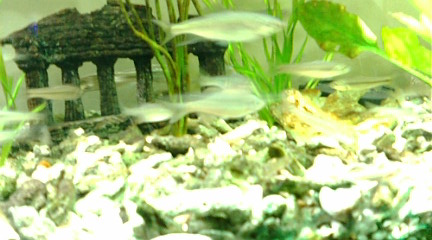 c0152002_21302188.jpg
