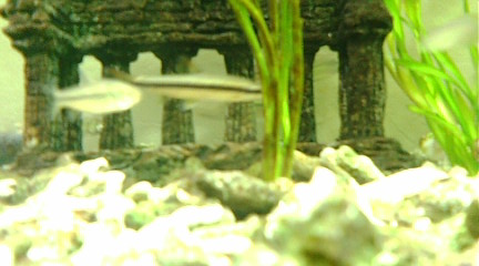 c0152002_21305995.jpg