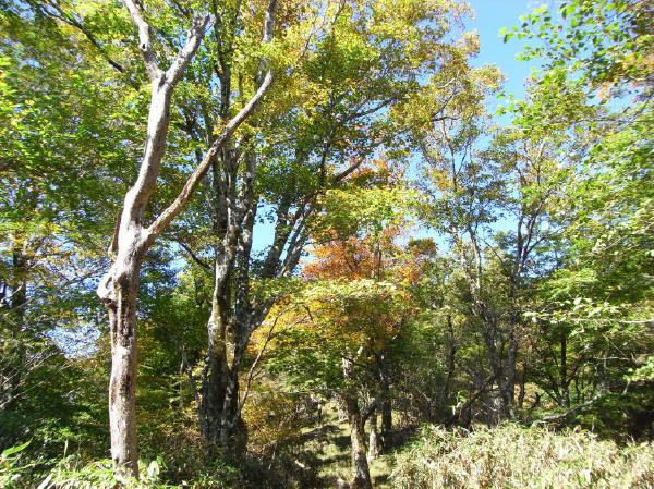 f0187402_22453011.jpg