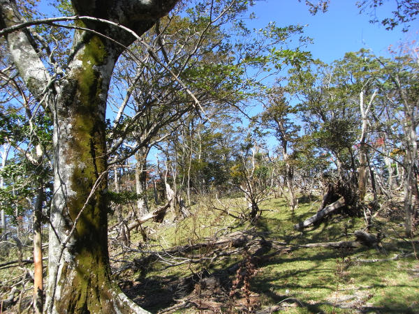 f0187402_2246195.jpg