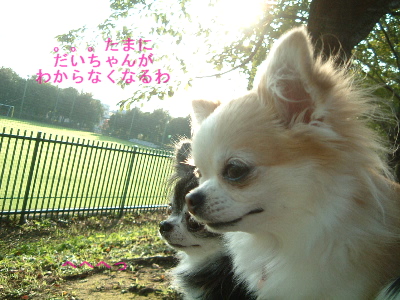 a0079803_18355697.jpg