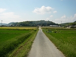c0151903_7504271.jpg
