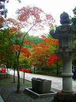 c0148705_22203870.jpg