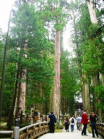 c0148705_22273666.jpg