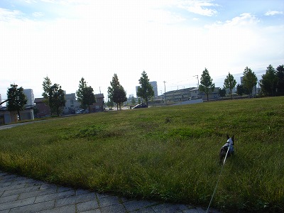 e0145805_22135612.jpg