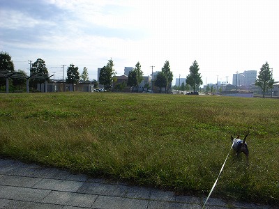 e0145805_2214813.jpg