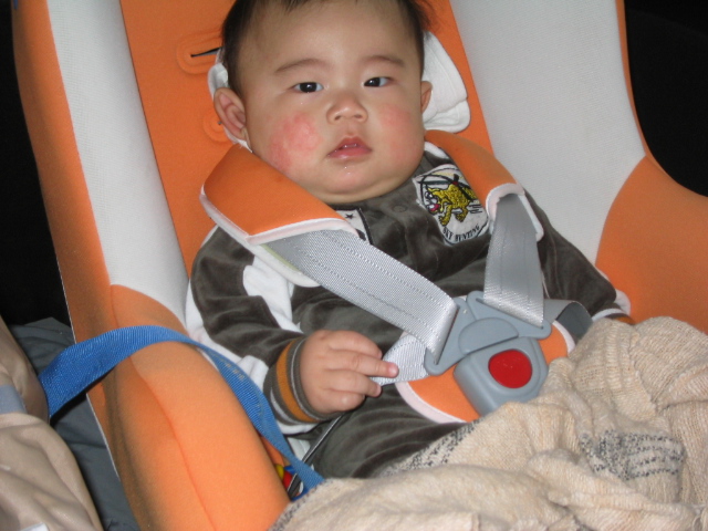 d0070007_21593542.jpg
