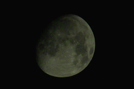 b0137311_21521383.jpg