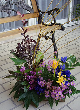 b0151911_6225270.jpg