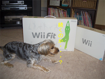 c0143711_15341747.gif