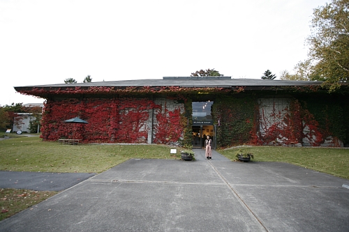 d0108212_1525844.jpg