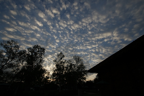 d0108212_1572026.jpg